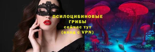 дживик Абаза