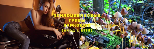 ALPHA-PVP Абинск