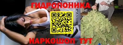 винт Ипатово