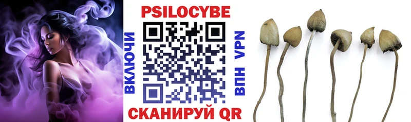 Галлюциногенные грибы GOLDEN TEACHER  магазин  наркотиков  Ртищево 